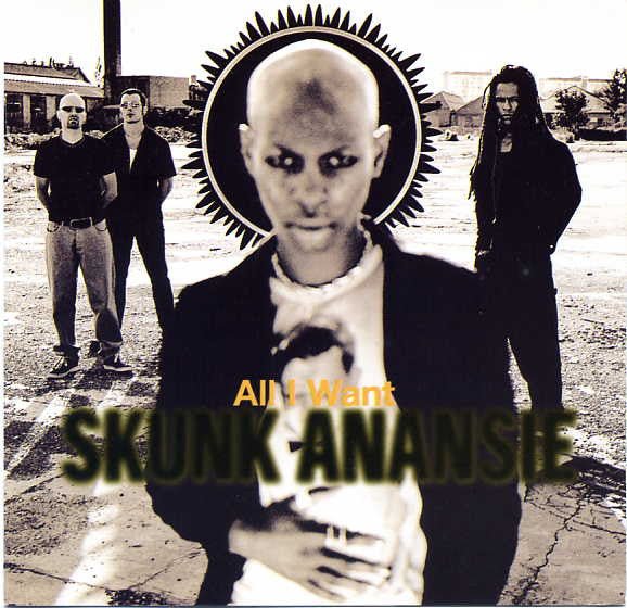 USED: Skunk Anansie - All I Want (CD, Single, CD1) - Used - Used