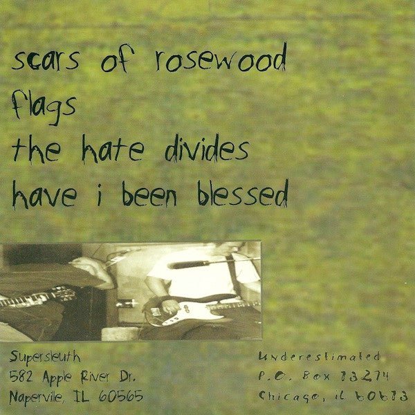 USED: Supersleuth - The Hate Divides (7") - Used - Used