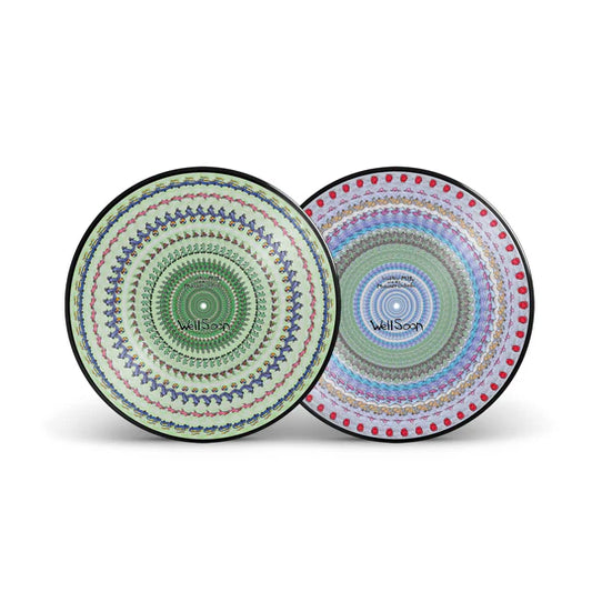 Walter Mitty and his Makeshift Orchestra - Well Soon LP