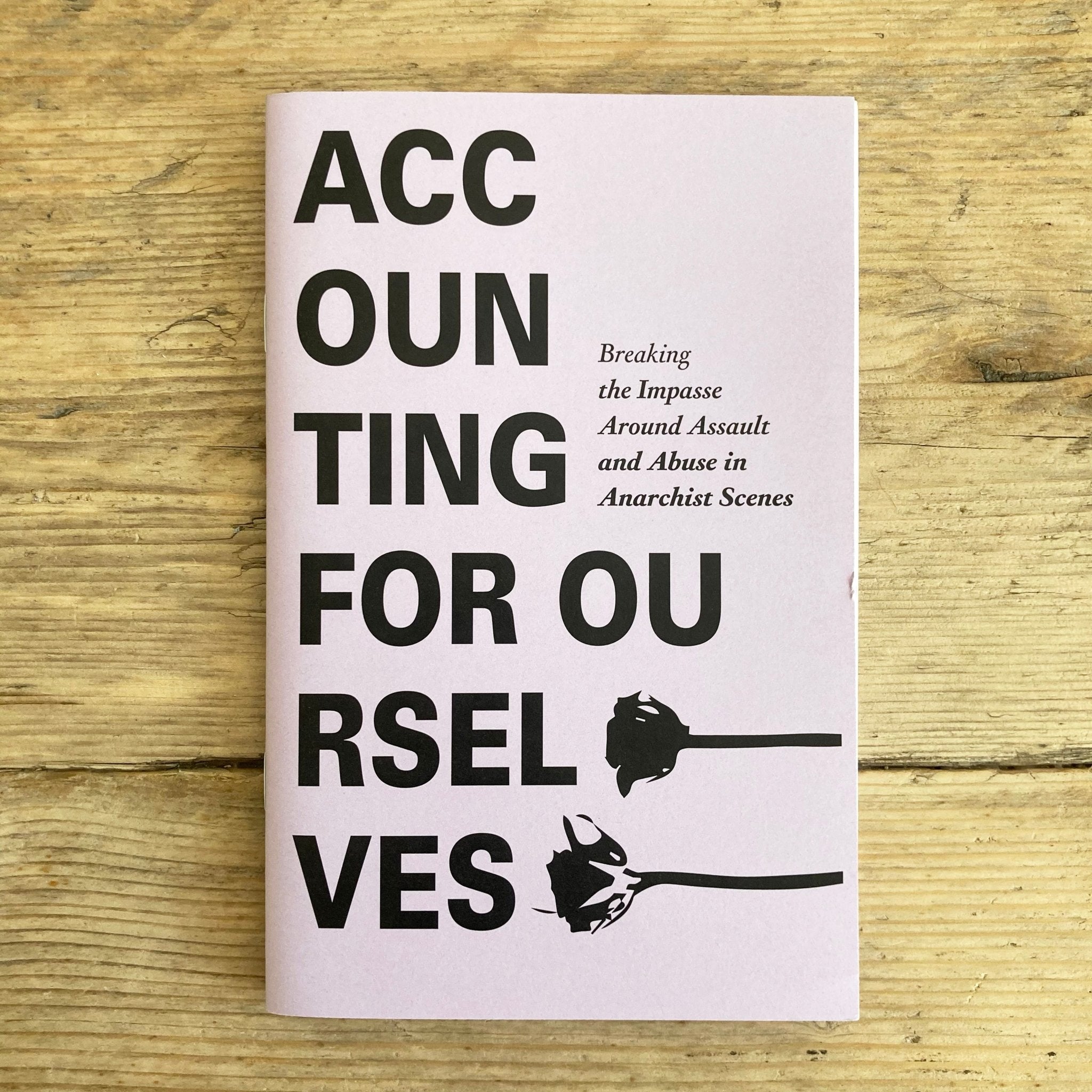 Accounting for Ourselves - Zine - Microcosm