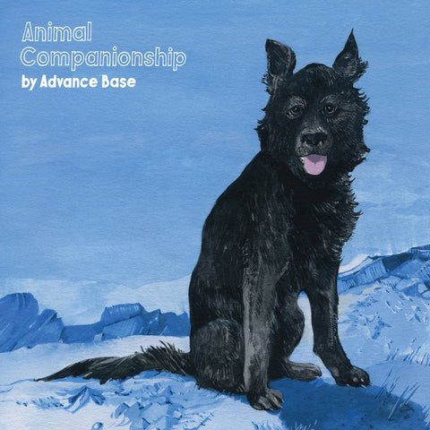 Advance Base - Animal Companionship LP - Vinyl - Run For Cover