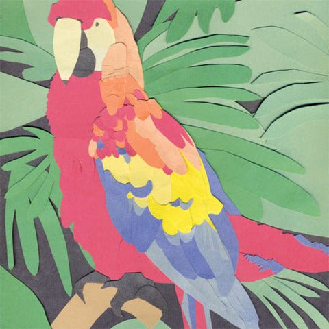 Algernon Cadwallader - Parrot Flies LP - Vinyl - Lauren