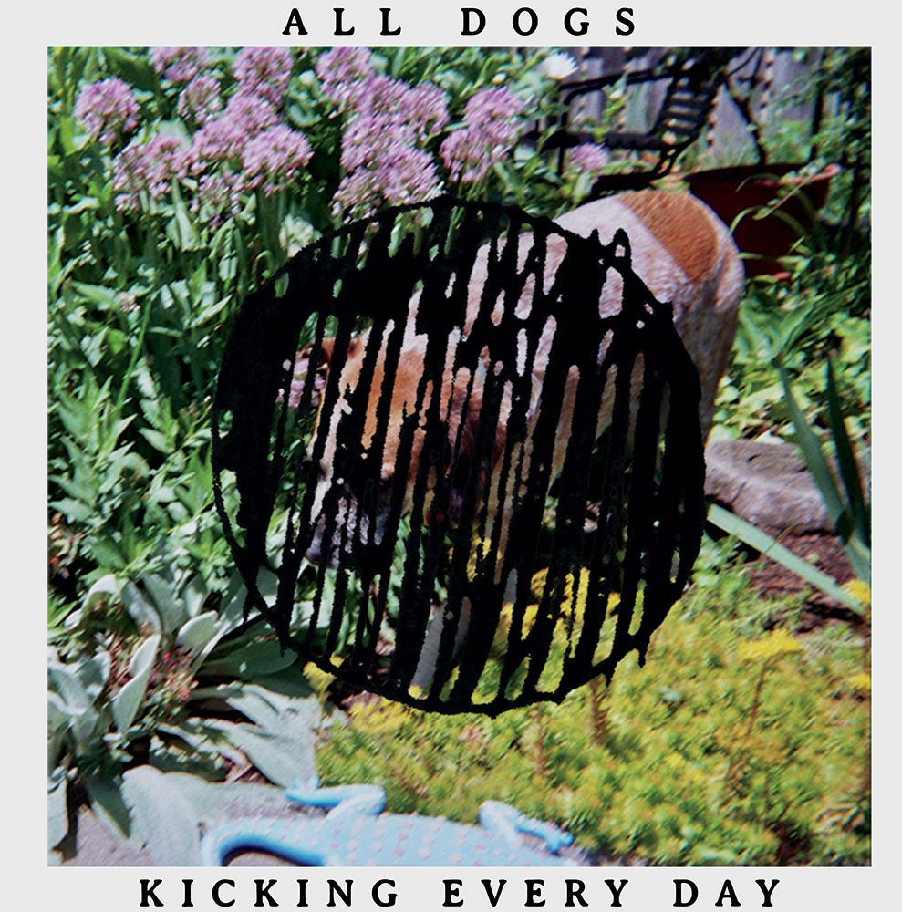 All Dogs - Kicking Every Day LP - Vinyl - Salinas