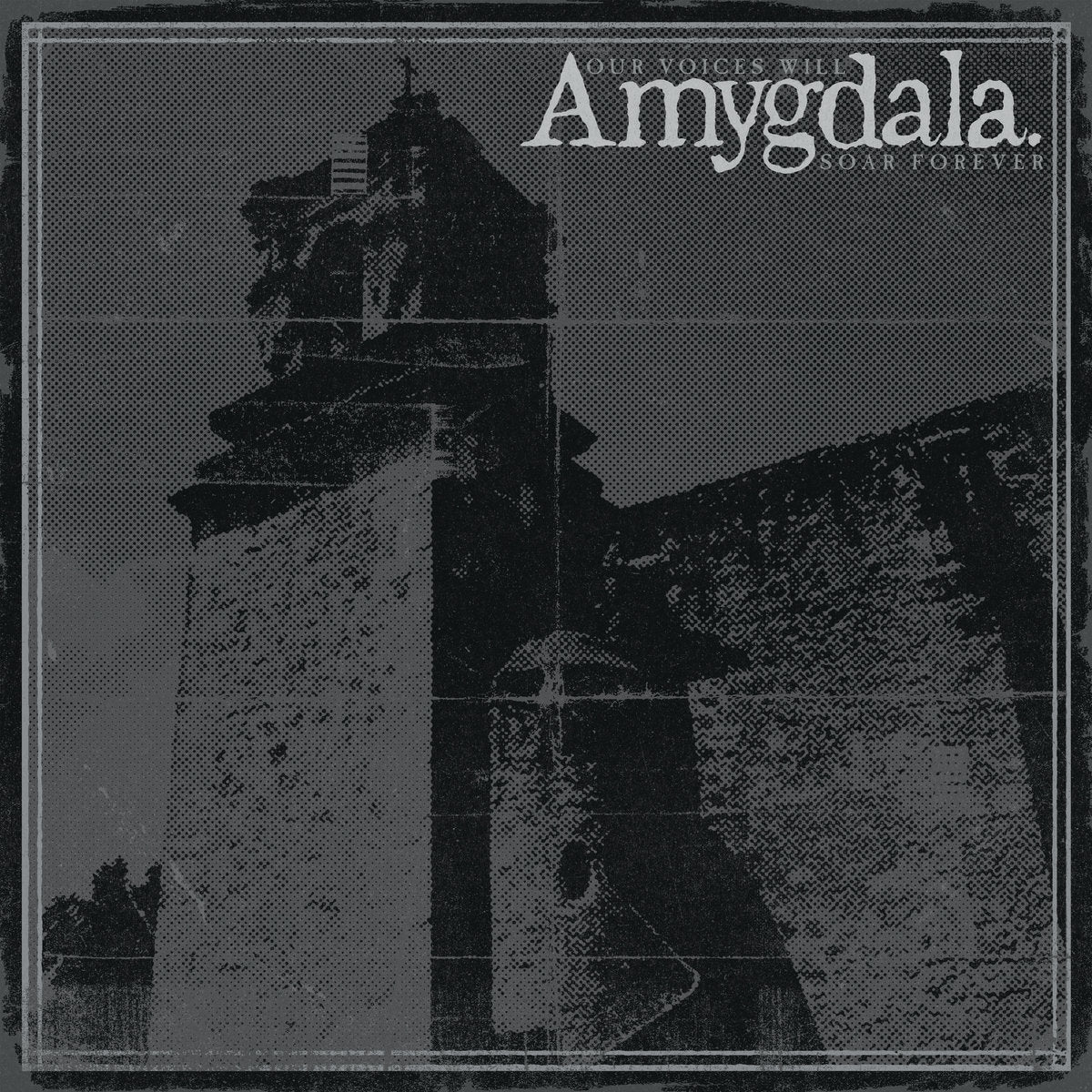 Amygdala - Our Voices Will Soar Forever LP - Vinyl - Prosthetic