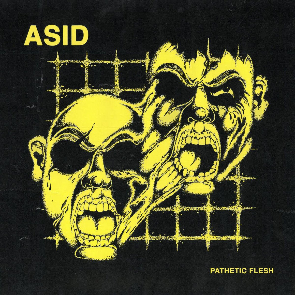 Asid - Pathetic Flesh LP - Vinyl - La Vida Es Un Mus