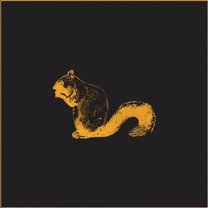 BC Camplight - Hide, Run Away / Blink Of A Nihilist 2xLP (RSD 2021) - Vinyl - One Little Independent