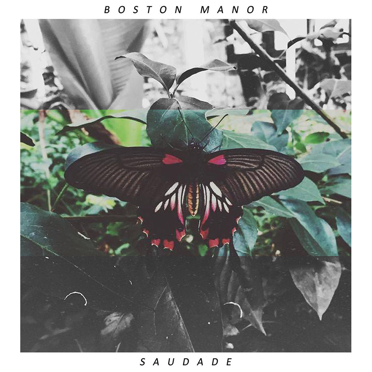 Boston Manor - Saudade 12" - Vinyl - Pure Noise