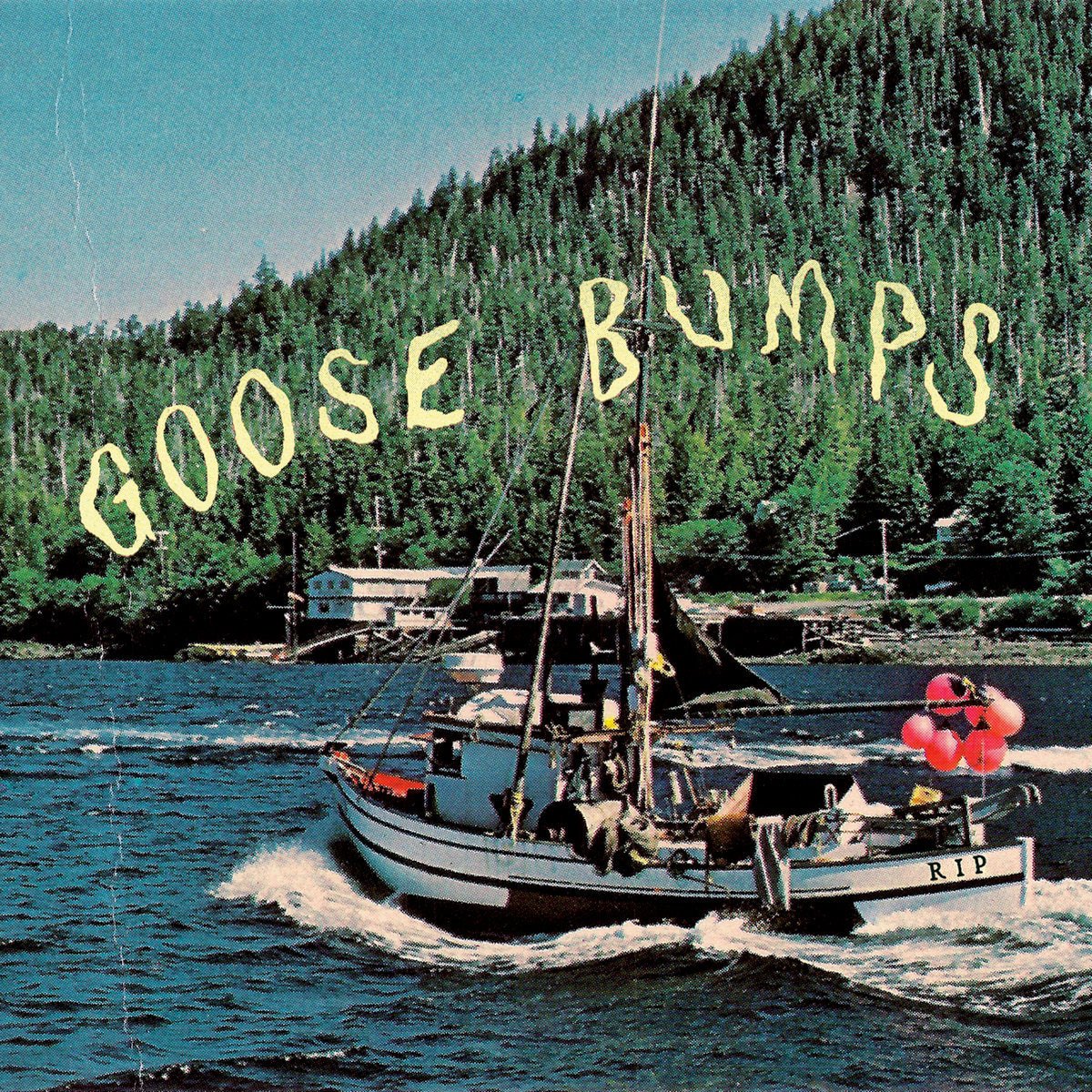 Boyscott - Goose Bumps LP - Vinyl - Topshelf