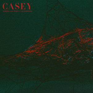 Casey - When I Go When I Am Sleeping LP - Vinyl - Hassle