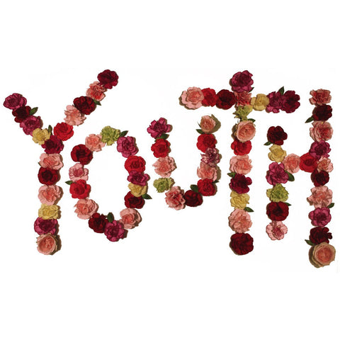Citizen - Youth LP - Vinyl - Run For Cover
