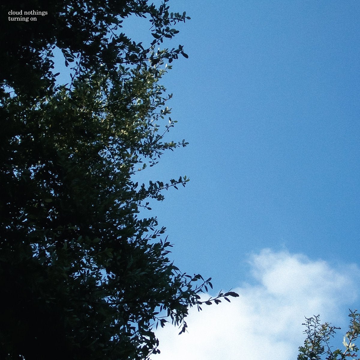 Cloud Nothings - Turning On LP - Vinyl - Carpark