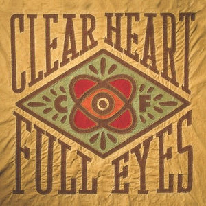 Craig Finn ‎- Clear Heart Full Eyes LP - Vinyl - Full Time Hobby