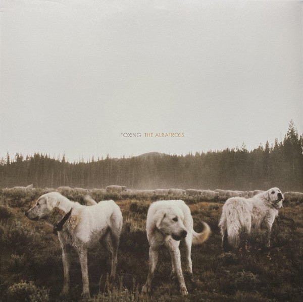 Foxing - The Albatross LP - Vinyl - Triple Crown