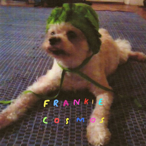 Frankie Cosmos - Zentropy LP - Vinyl - Double Double Whammy