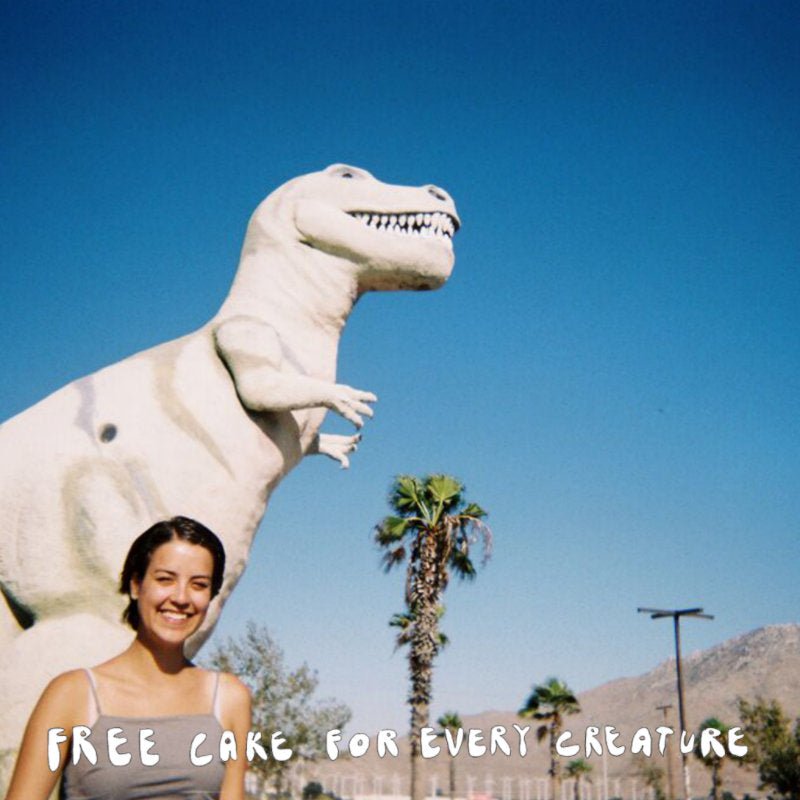 Free Cake For Every Creature - Talking Quietly Of Anything With You LP - Vinyl - Double Double Whammy
