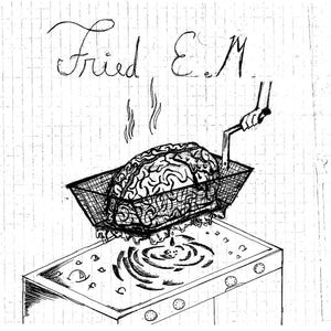 Fried E.M. - s/t 7" - Vinyl - Lumpy