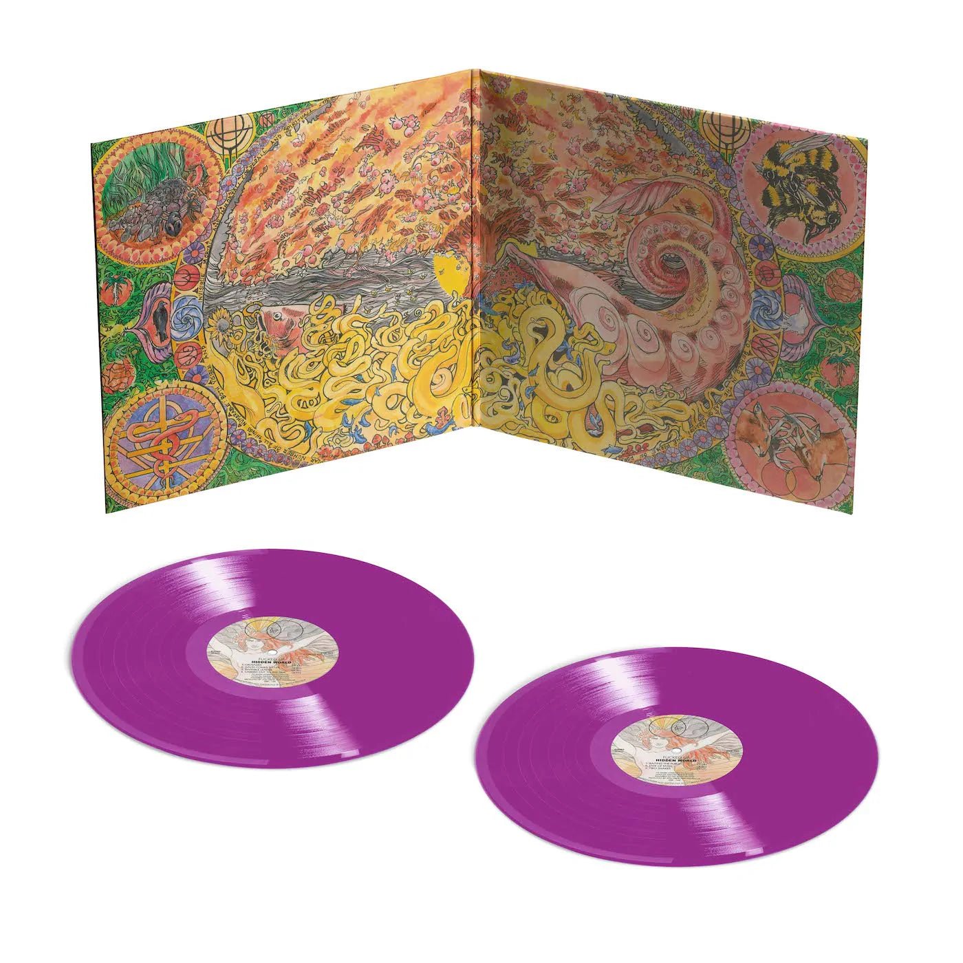 Fucked Up - Hidden World 2xLP - Vinyl - Get Better Records