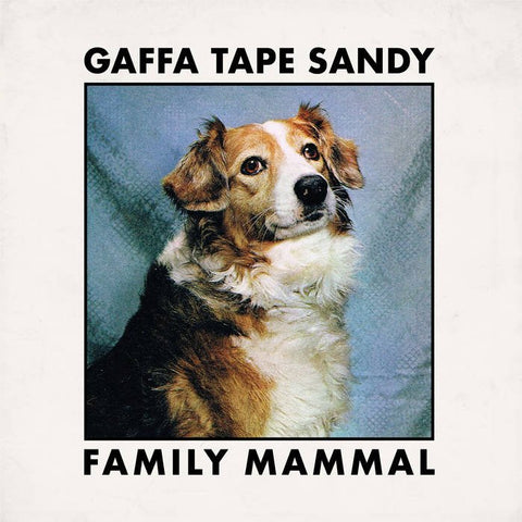 Gaffa Tape Sandy ‎– Family Mammal LP - Vinyl - Alcopop!