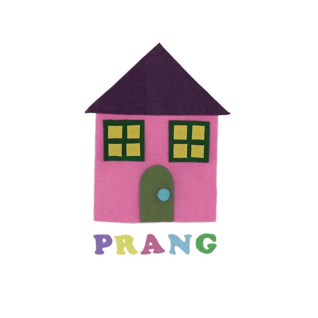 Gender Roles - Prang LP - Vinyl - BSM