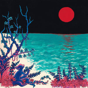 Glass Beach - The First Glass Beach Album 2xLP - Vinyl - Run For Cover