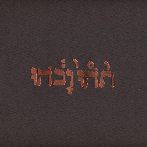 Godspeed You! Black Emperor ‎– Slow Riot For New Zero Kanada E.P. - Vinyl - Constellation