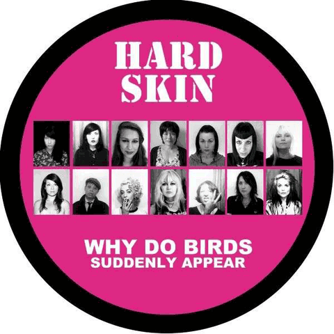Hard Skin - Why Do Birds Suddenly Appear LP - Vinyl - JT Classics