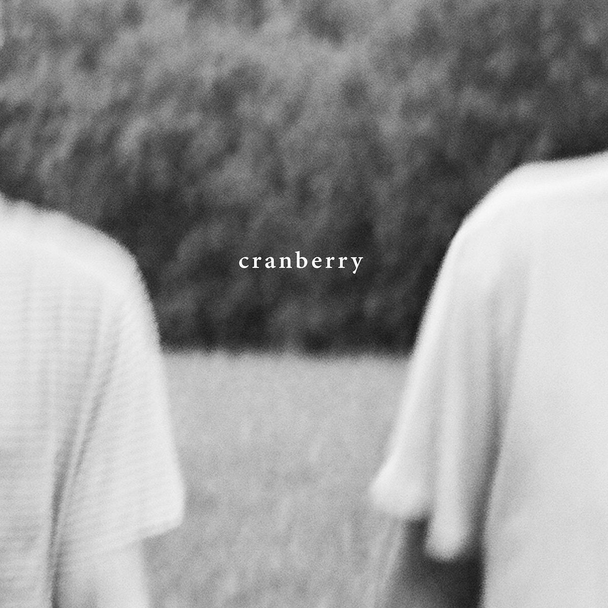 Hovvdy - Cranberry LP - Vinyl - Double Double Whammy