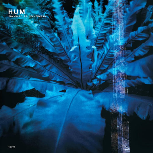 Hum - Downward Is Heavenward 2xLP - Earth Analog
