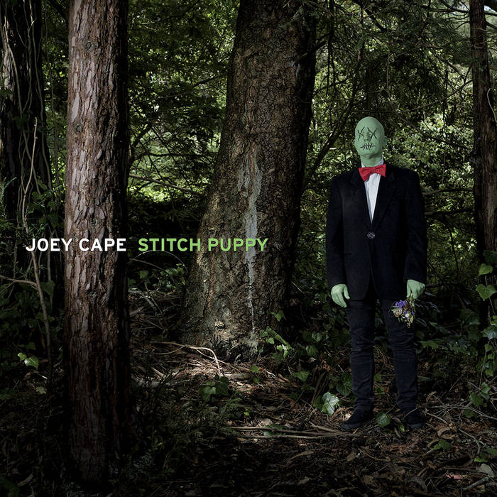 Joey Cape ‎- Stitch Puppy LP - Vinyl - Fat Wreck