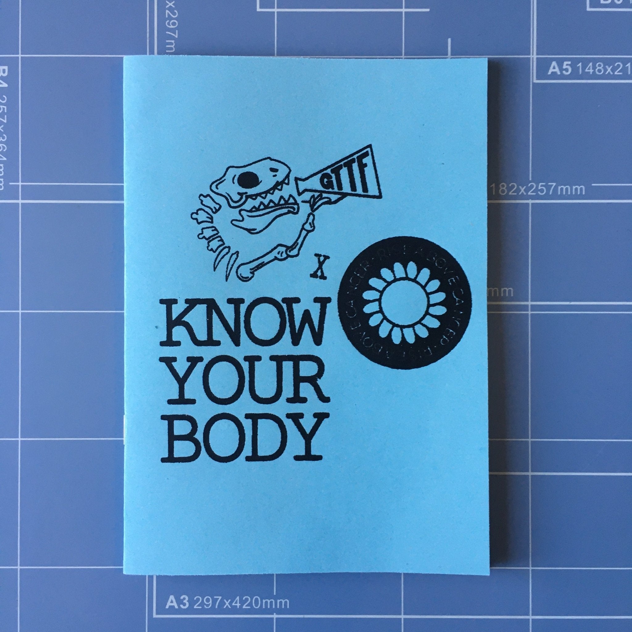 Know Your Body ZINE - Zine - Girls To The Front