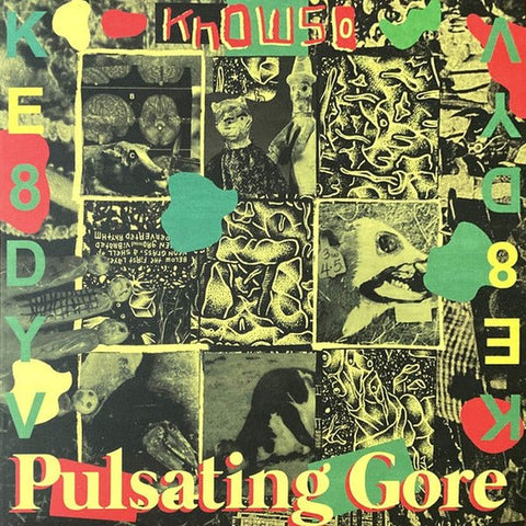 Knowso - Pulsating Gore LP - Vinyl - Sorry State