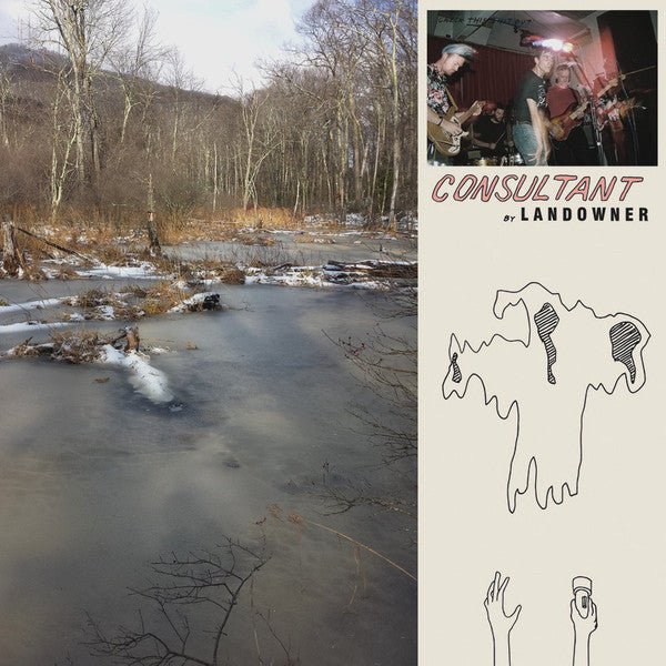 Landowner - Consultant LP - Vinyl - Born Yesterday