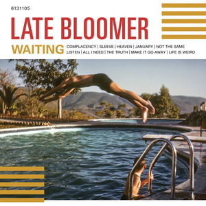 Late Bloomer - Waiting LP - Vinyl - 6131