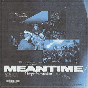 Meantime - Living in the Meantime LP - Vinyl - Indecision