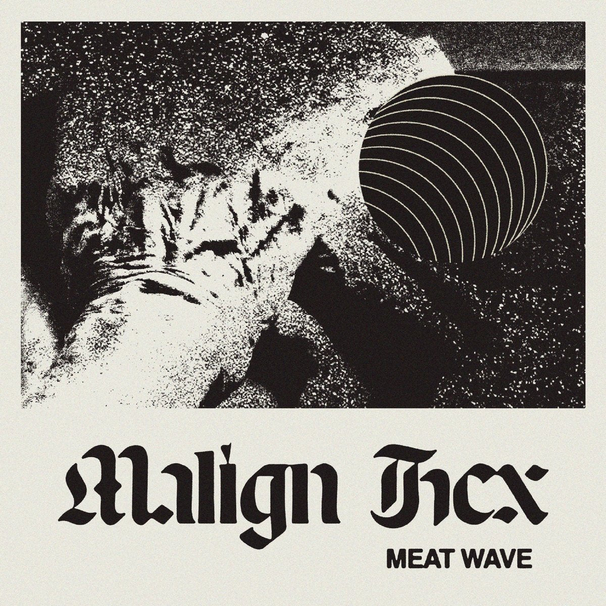 Meat Wave - Malign Hex LP - Vinyl - Big Scary Monsters