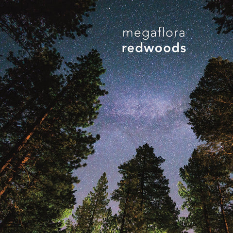 Megaflora - Redwoods LP - Vinyl - Everything Sucks