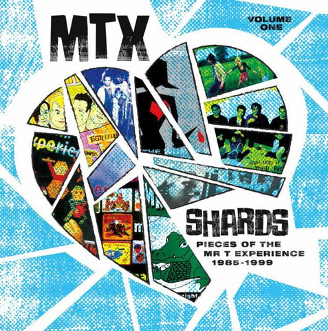 Mr. T Experience - Shards Vol. 1 LP - Vinyl - Sounds Rad