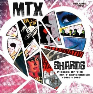 Mr. T Experience - Shards Vol. 2 LP - Vinyl - Sounds Rad