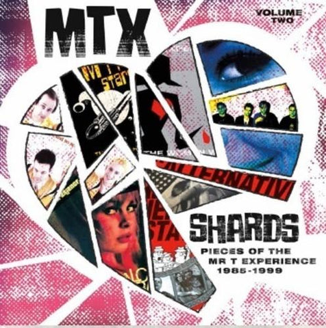 Mr. T Experience - Shards Vol. 2 LP - Vinyl - Sounds Rad