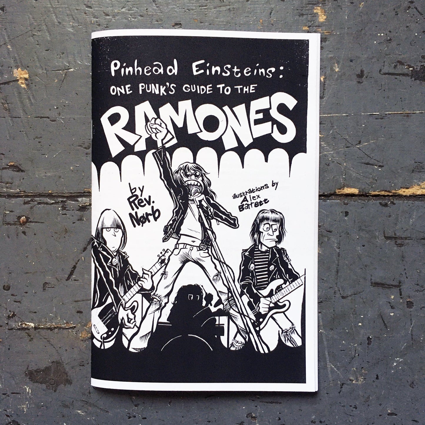 One Punk's Guide To... - Razorcake Zine Series - Zine - Razorcake