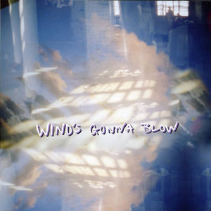 Options - Wind's Gonna Blow LP - Vinyl - Boslevan