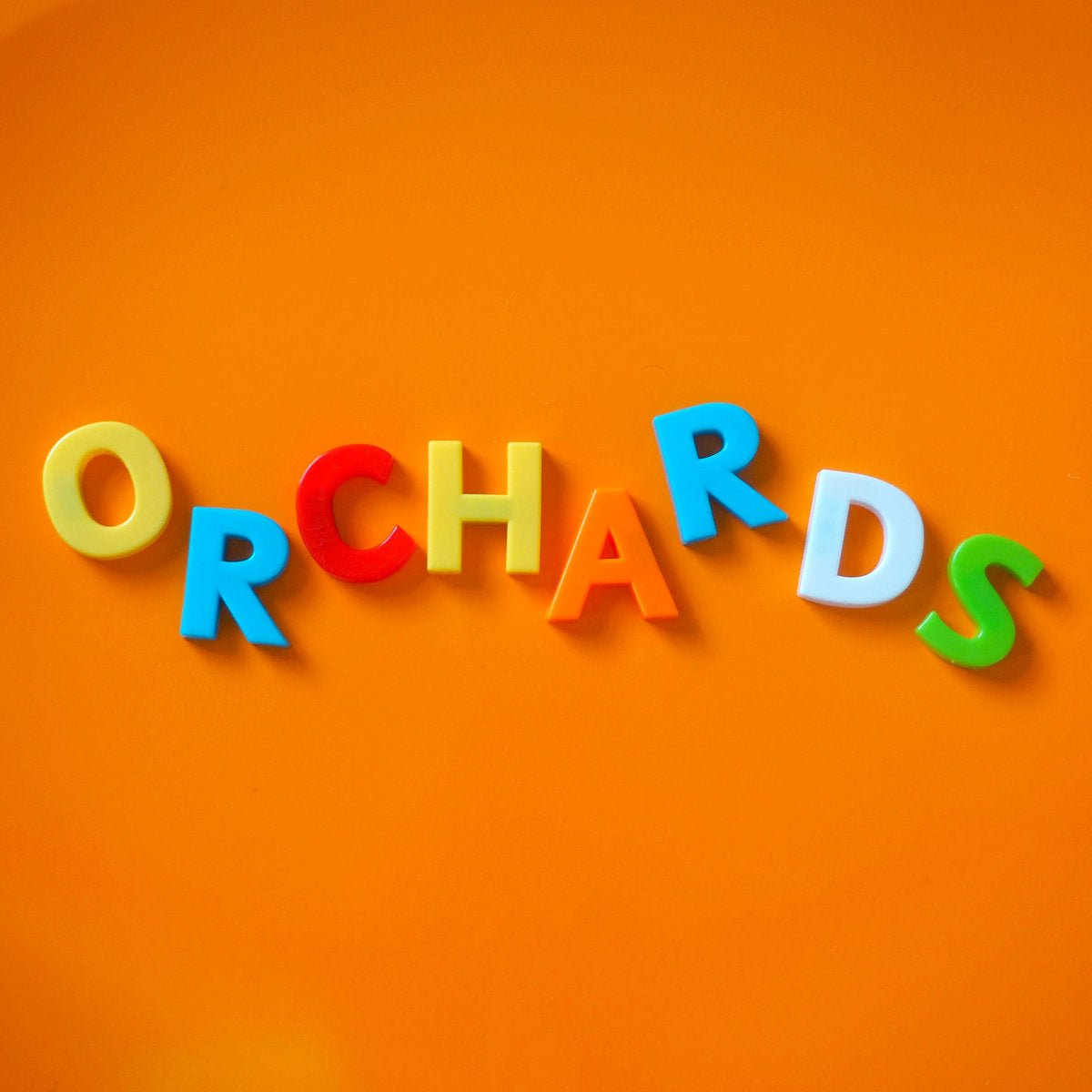 Orchards - Young/Mature Me 7" - Vinyl - BSM