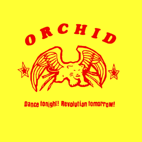 Orchid - Dance Tonight! Revolution Tomorrow! 10" LP - Vinyl - Ebullition