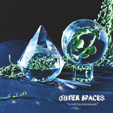 Outer Spaces - A Shedding Snake LP - Vinyl - Don Giovanni