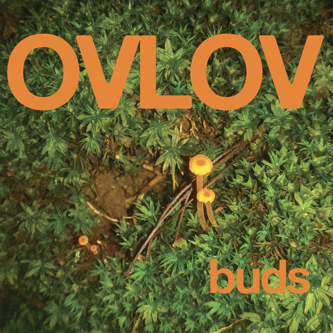 Ovlov - Buds LP - Vinyl - Exploding In Sound