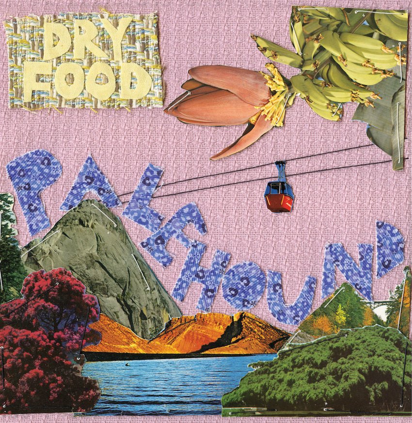 Palehound - Dry Food LP - Vinyl - Heavenly