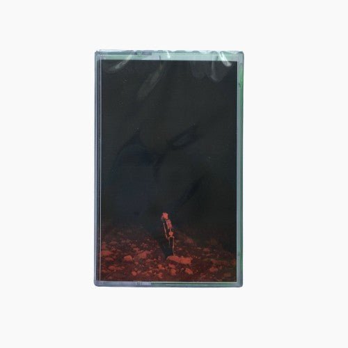 Phoebe Bridgers - Punisher TAPE - Tape - Dead Oceans