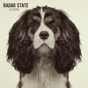 Radar State - Strays LP - Vinyl - Disconnect Disconnect