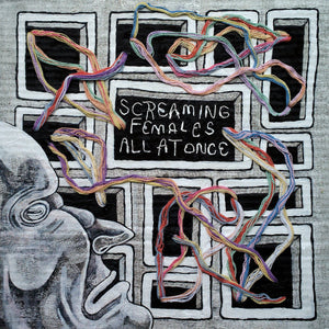 Screaming Females - All At Once Tape - Tape - Don Giovanni