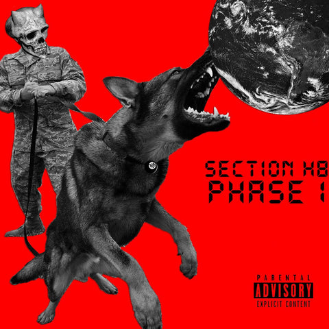 Section H8 - Phase 1 7" - Vinyl - Flatspot